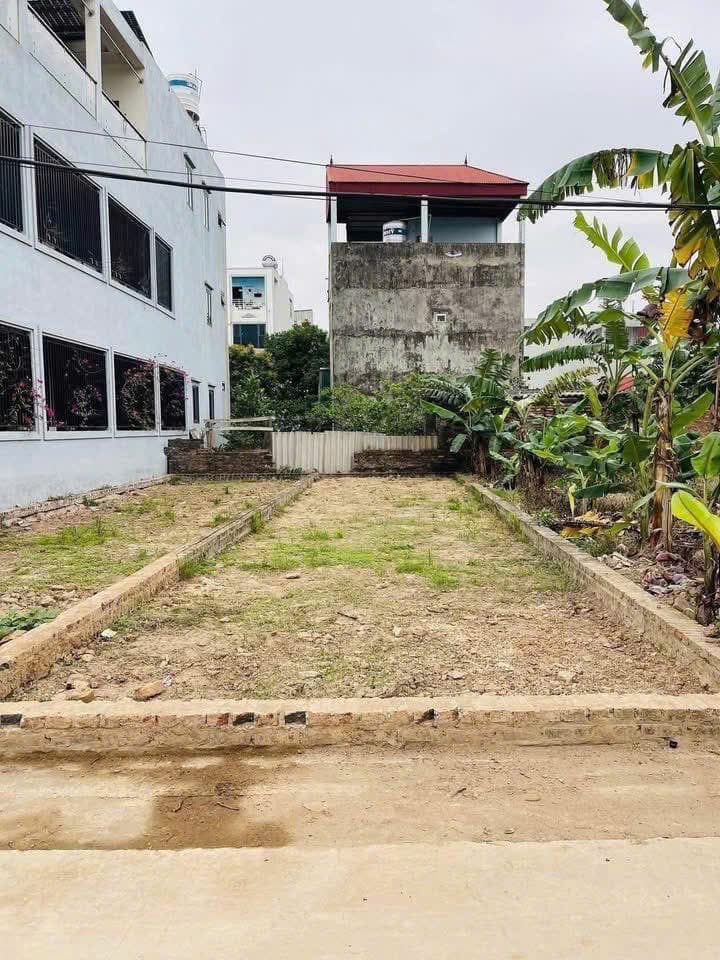 Mảnh đất 73.9 thumbnail 4